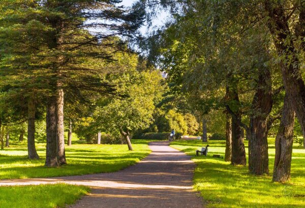 Приморский парк Серпухов