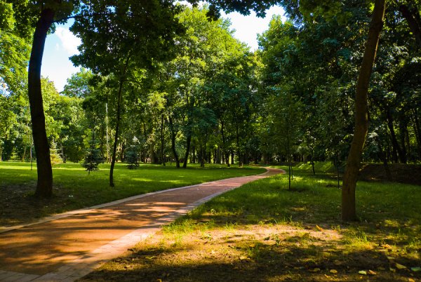Летний Солнечный парк Швейцария
