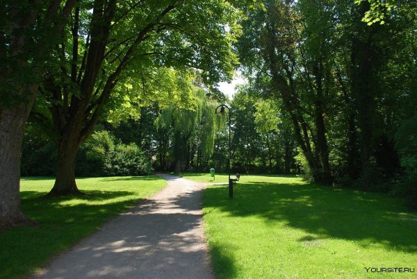 Парк Сокольники тропинки дорожки