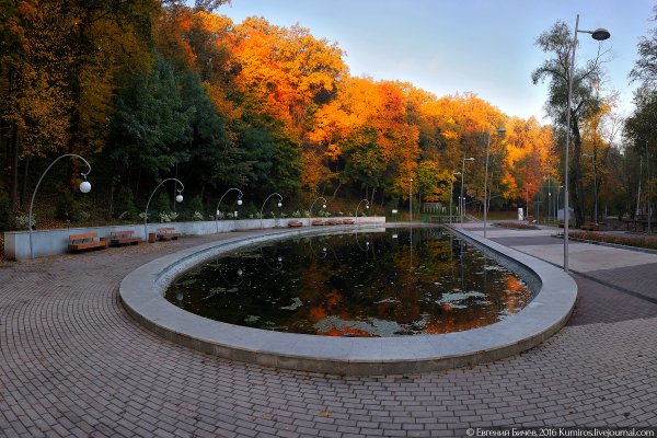 Осенний парк Динамо Воронеж