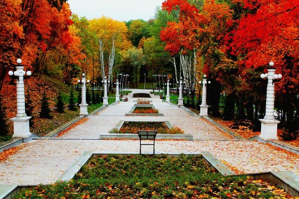 Парк Динамо Воронеж