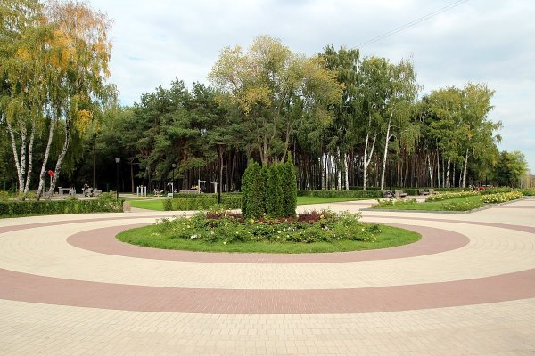 Парк Алые паруса вороне