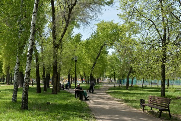 Воронежский Южный парк