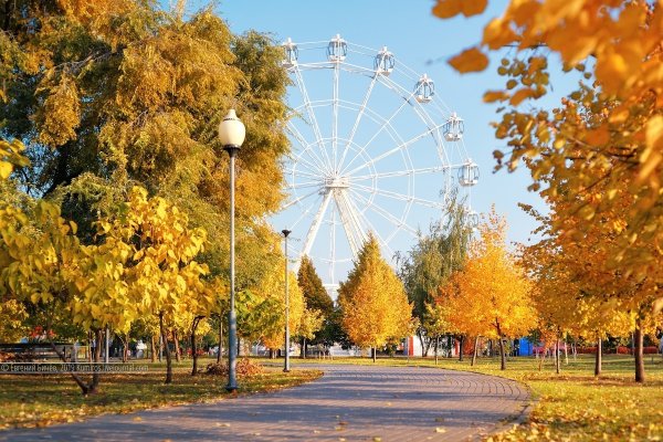 Парк Воронеж СХИ осень