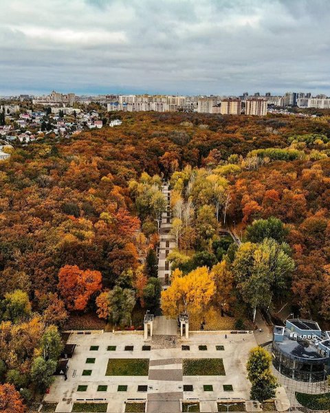Парк Динамо Воронеж осенью