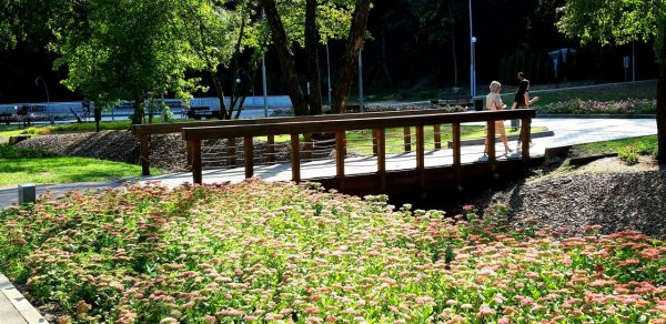 Воронежский парк Динамо