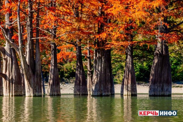 Кипарисовое озеро Геленджик