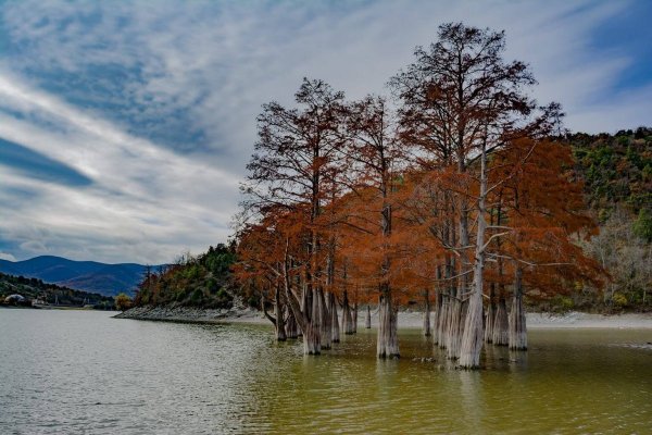Сукко озеро с кипарисами