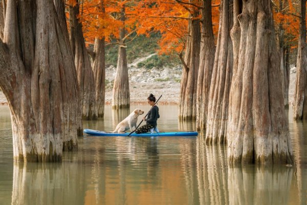 Кипарисовое озеро Сукко
