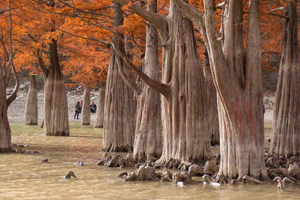 Сукко Анапа Кипарисовое озеро