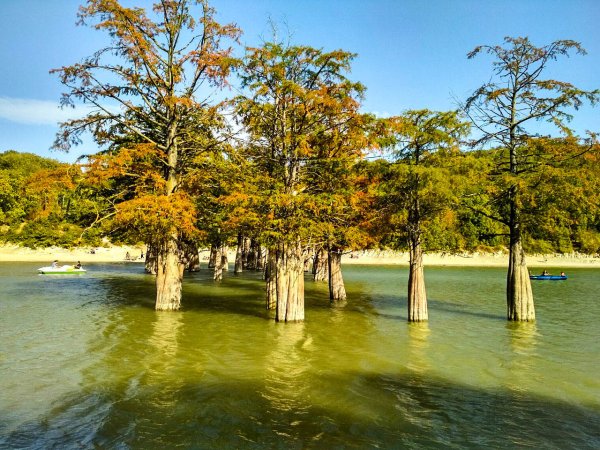 Долина кипарисов озера Сукко