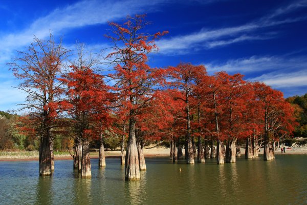 Сукко Анапа Кипарисовое озеро