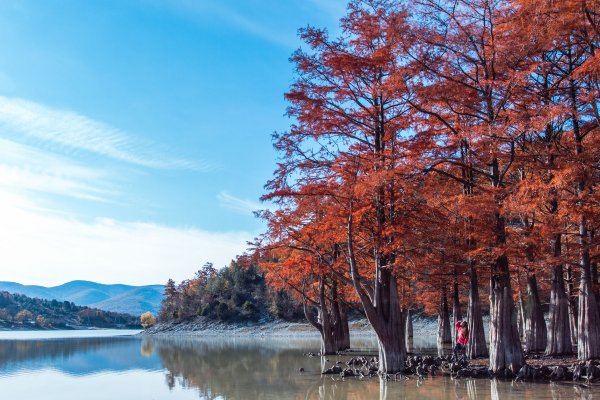 Кипарисовое озеро Сукко