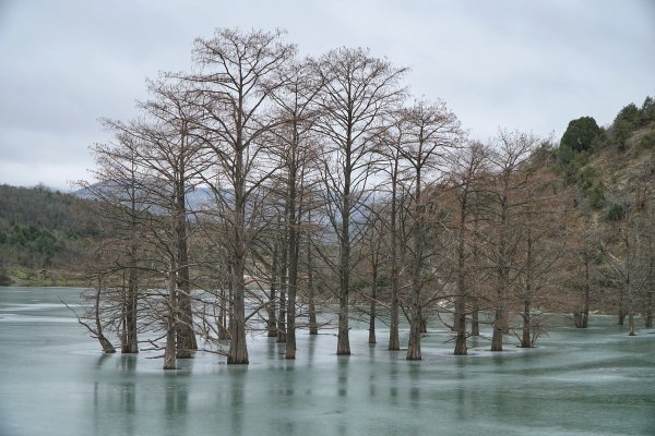 Кипарисовое озеро в Анапе