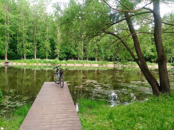 Водоем в парке