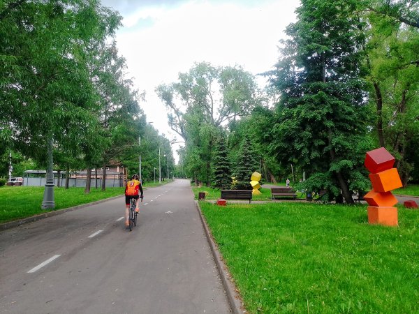 Фотографию с парком