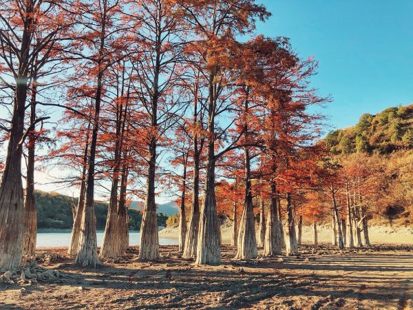 Долина кипарисов Сукко