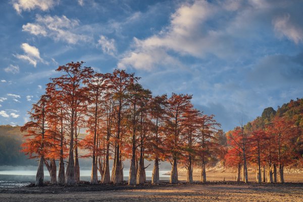 Кипарисовое озеро Сукко, Краснодар