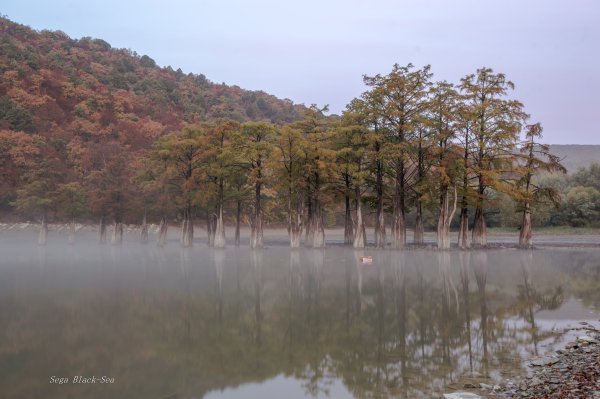 Кипарисовое озеро Новороссийск
