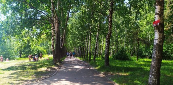 Парк Светлоярское озеро Нижний Новгород