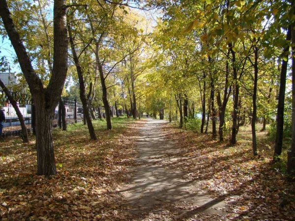 Сормовский парк Нижний Новгород осень