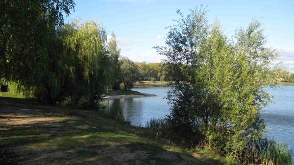 Светлоярский парк Нижний Новгород
