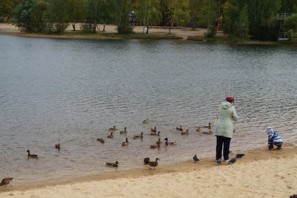 Светлоярское озеро Нижний Новгород периметр