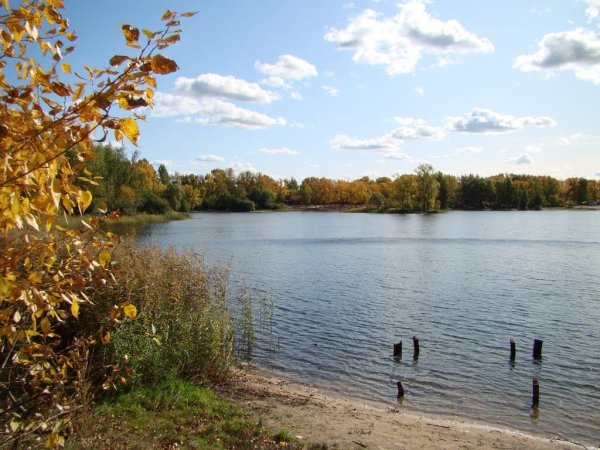 Светлоярское озеро Нижний Новгород