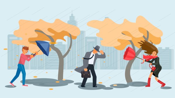 Ветреный день люди