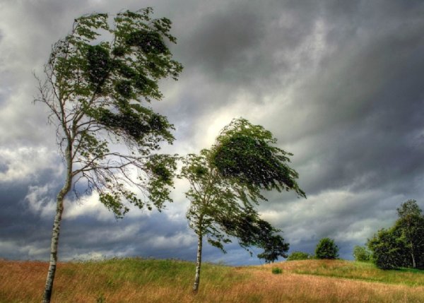 Сильный ветер