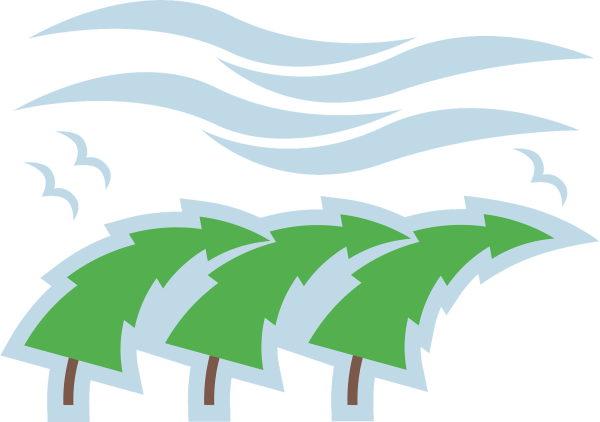 Сильный ветер для детей