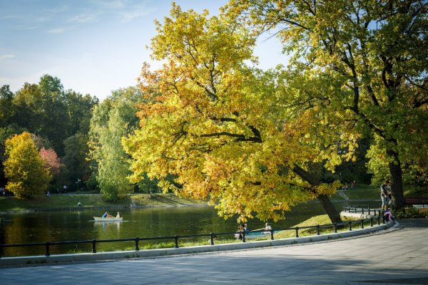 Городской парк Москва