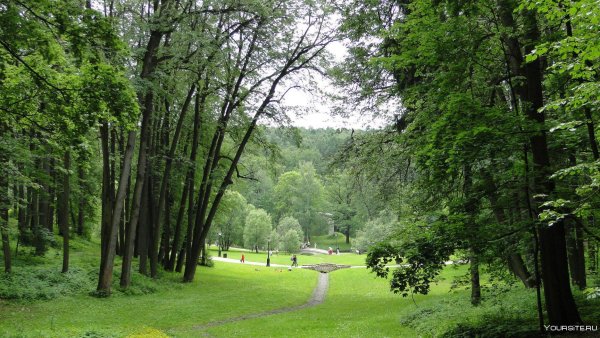 Царицыно Парковая зона