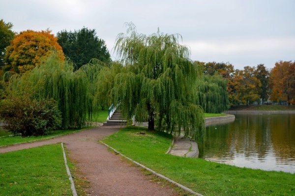 Парк дружбы на Флотской