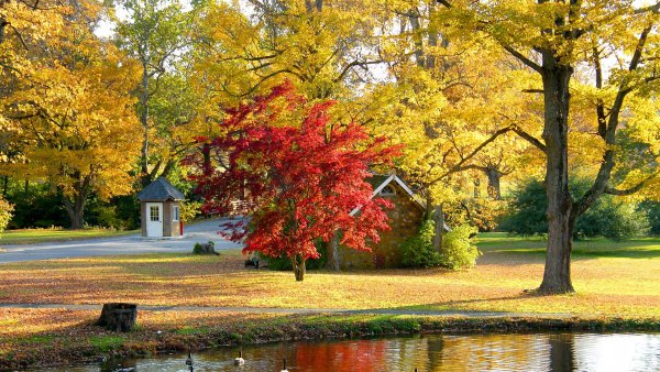 Осенний парк