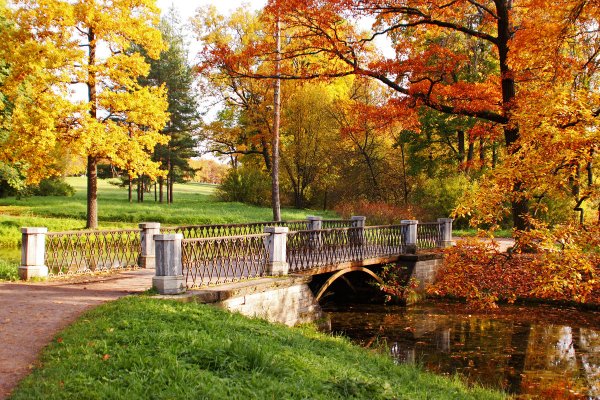 Парк Дубки осень мостик