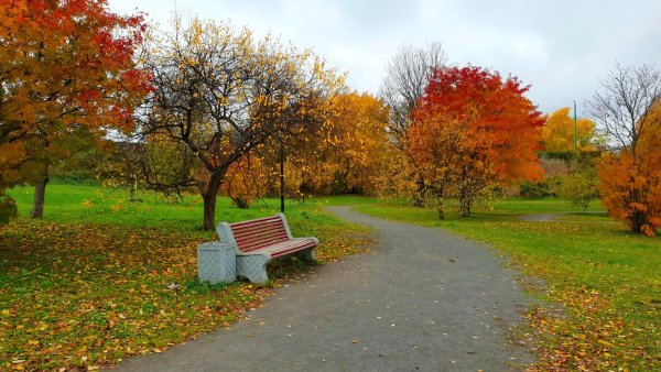 Осенний Горсад Курган