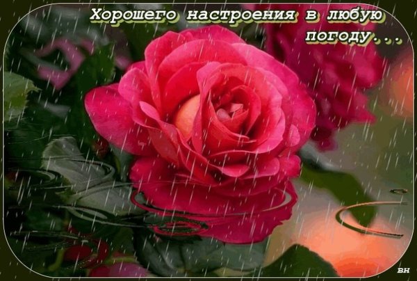 Хорошего настроения в любую погоду