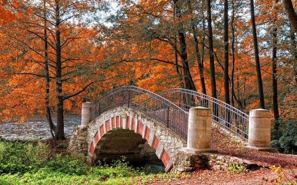 Парк Монрепо мостик