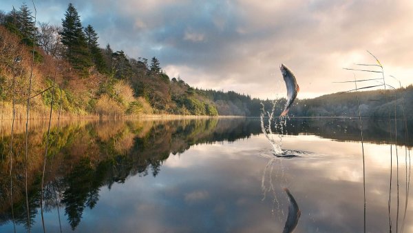 Красивые пейзажи на рыбалке