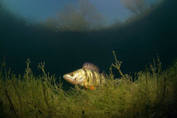Озеро Самеранджер Sameranger