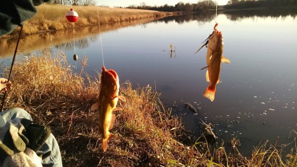 Красивые пейзажи на рыбалке