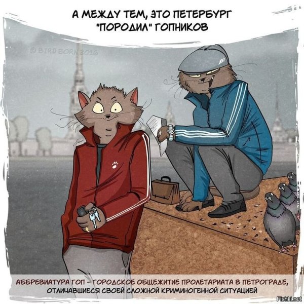 Шутки про петербуржцев