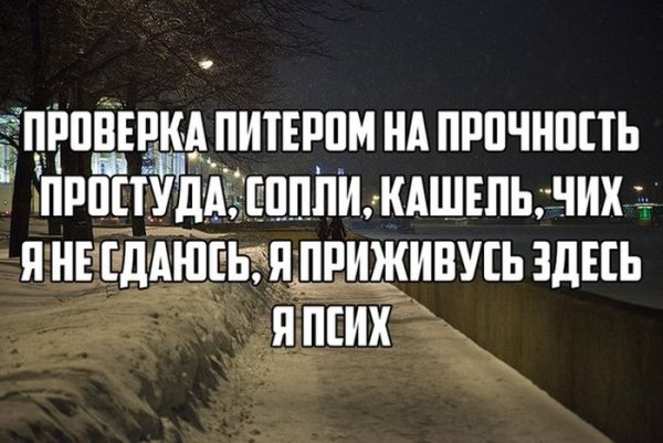 Смешные фразы про Питер
