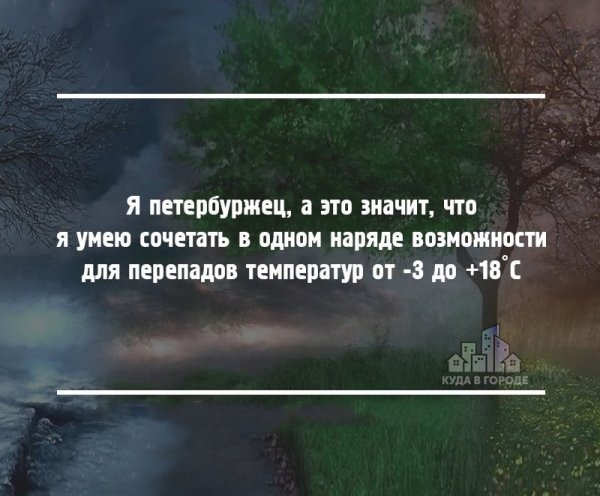 Фразы про питерскую погоду
