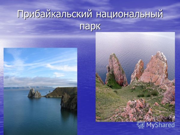 Прибайкальский заповедник презентация