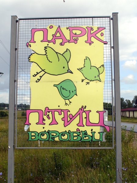 Парк птиц воробьи