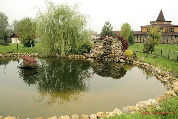 Парк воробьи Калужская область