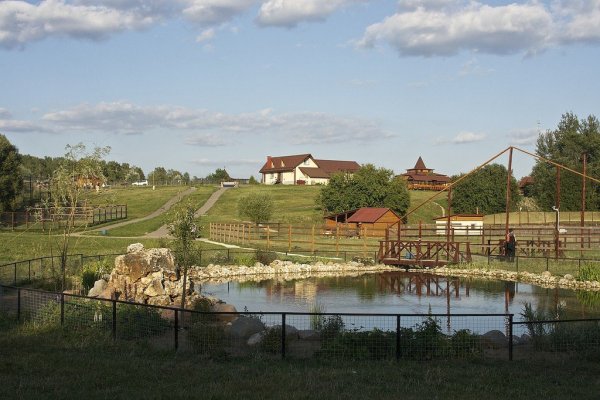 Парк птиц Калужская область