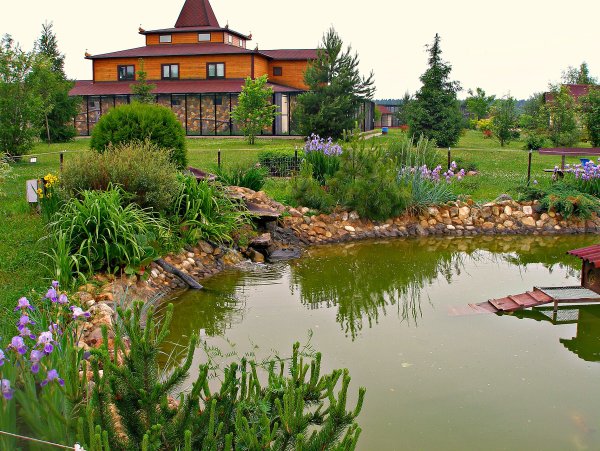 Парк птиц воробьи Калужская область